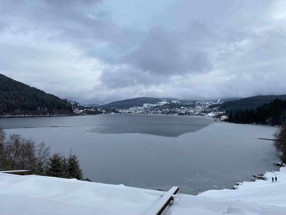 Studio Cosy Ambiance Vosgienne A 20 Mn De Gerardmer Lepanges-sur-Vologne Экстерьер фото