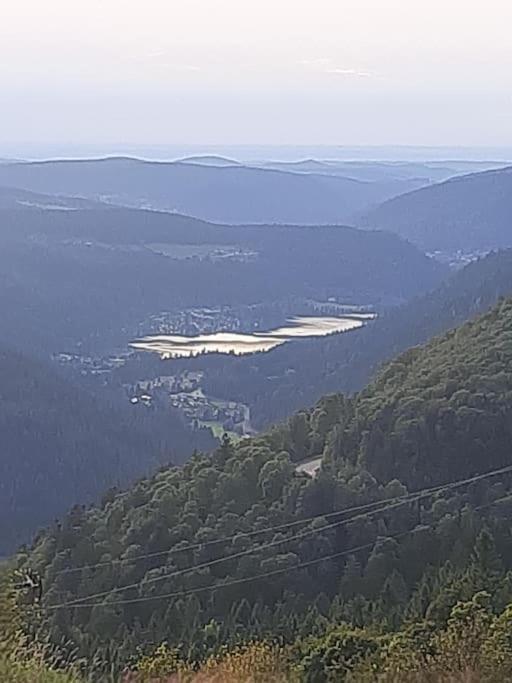 Studio Cosy Ambiance Vosgienne A 20 Mn De Gerardmer Lepanges-sur-Vologne Экстерьер фото